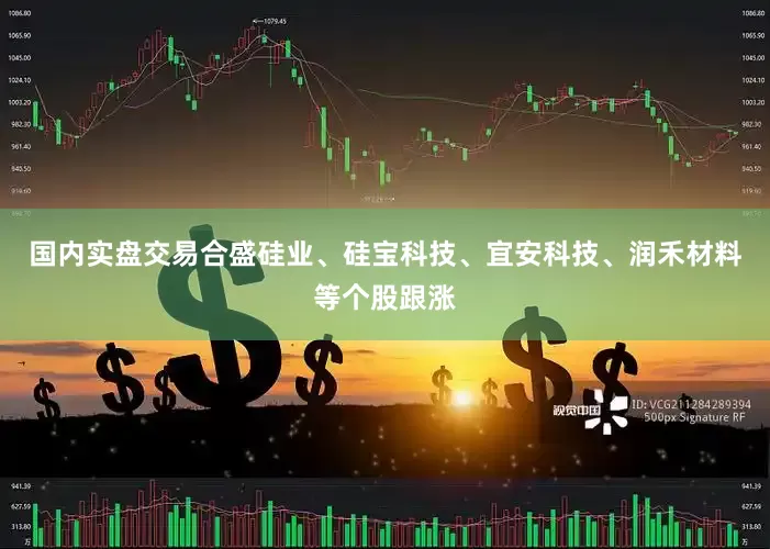 国内实盘交易合盛硅业、硅宝科技、宜安科技、润禾材料等个股跟涨