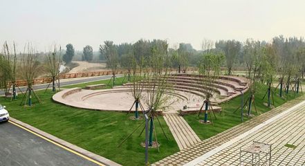 響應(yīng)國家戰(zhàn)略 弘揚(yáng)黃河文化|奧雅設(shè)計(jì)簽約鄭州黃河灘濕地公園EPC項(xiàng)目