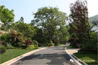 綠城別墅項(xiàng)目景觀設(shè)計(jì)手法探析